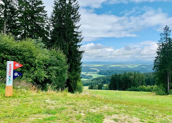 Riviera Lipno 502 4kk U Vody *